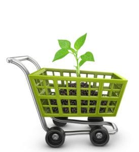 e commerce regular plan