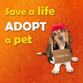 Save a life! Adopt a pet!