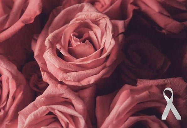 réseau-femmes du sud-ouest de l'ontario